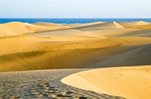 dune4.jpg